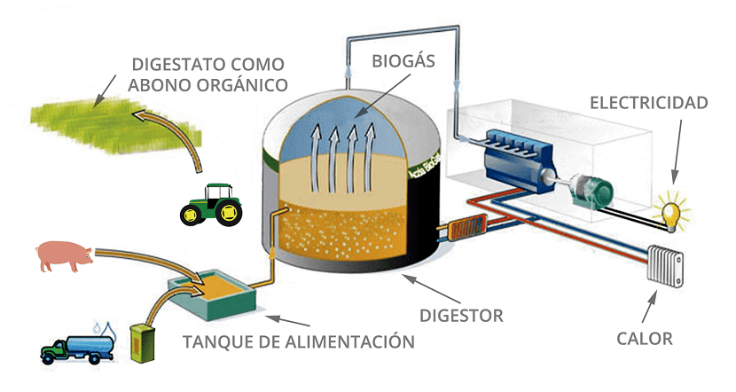 Odoo • Imagen y texto